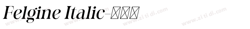 Felgine Italic字体转换